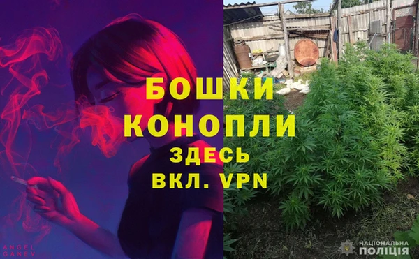 трава Гусь-Хрустальный