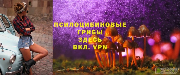 каннабис Гусев