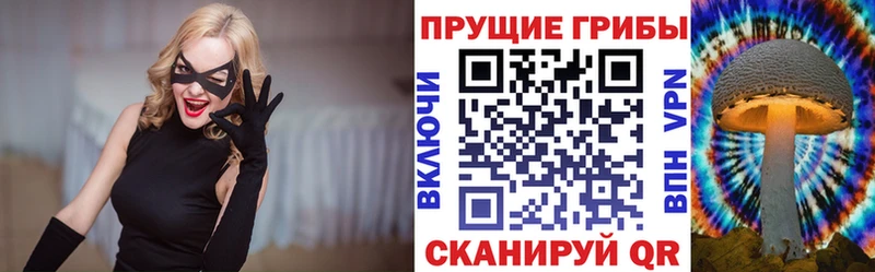 Галлюциногенные грибы прущие грибы  ОМГ ОМГ ONION  Медногорск  где найти наркотики 