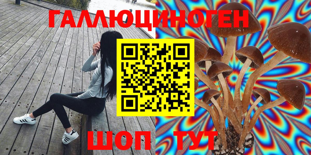 Псилоцибиновые грибы MAGIC MUSHROOMS Медногорск