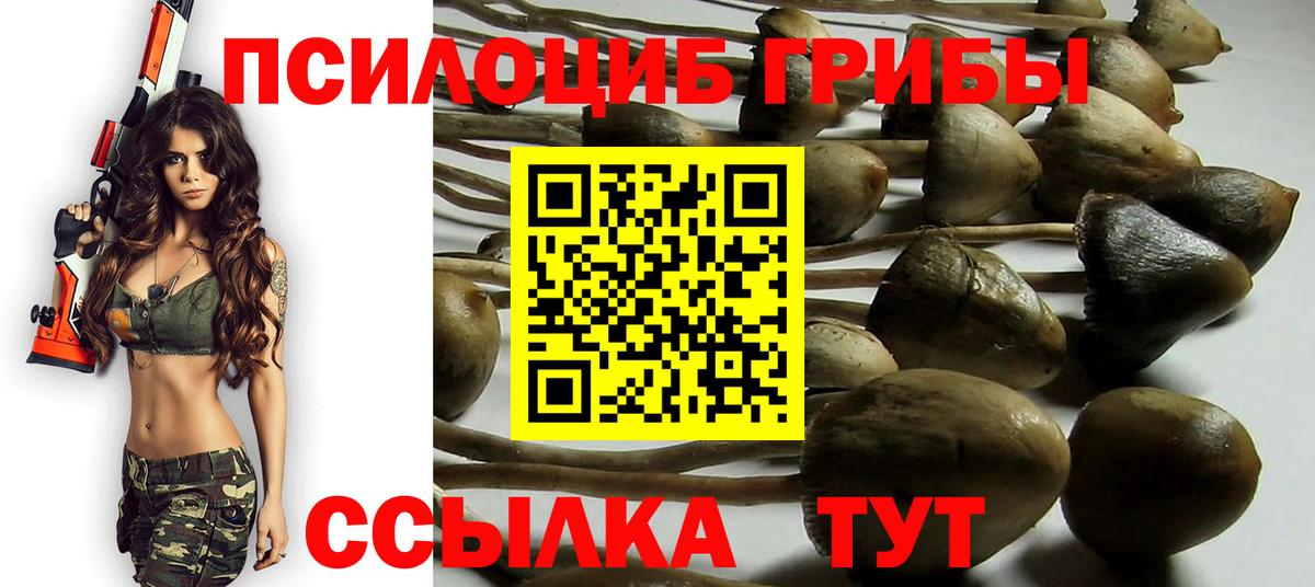 Галлюциногенные грибы ЛСД  Вход с VPN  Медногорск  Галлюциногенные грибы мицелий 