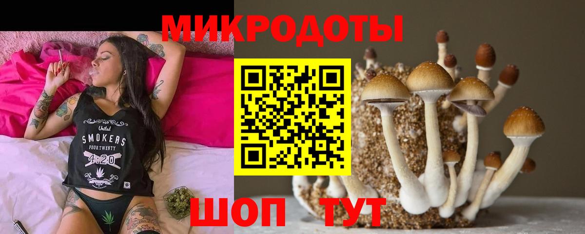 Псилоцибиновые грибы мухоморы Медногорск